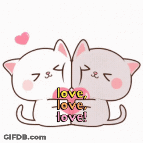 Sweet Couple Cats Amor GIF