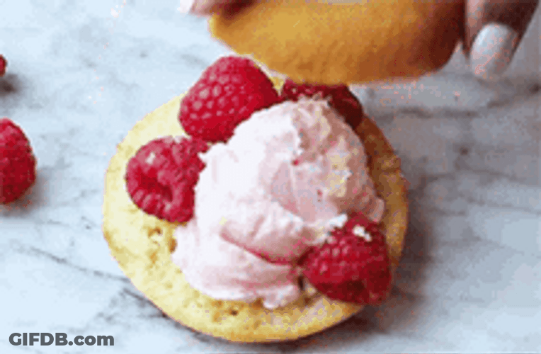 Sweet Cranberry Sandwich GIF