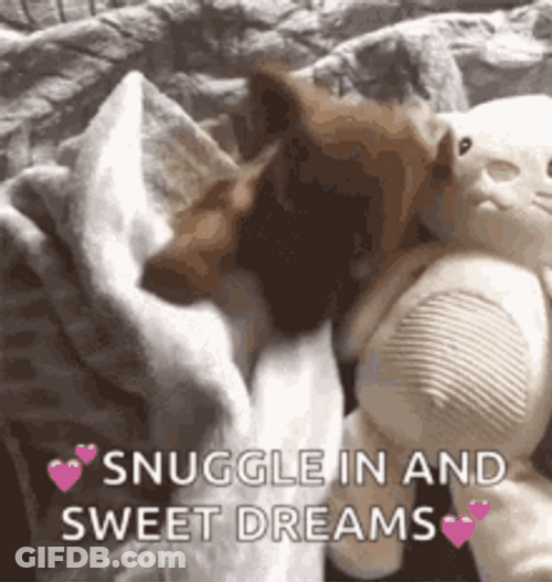 Sweet Dog And Bunny Toy GIF