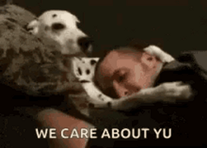 Sweet Dog Caring For Furdad GIF