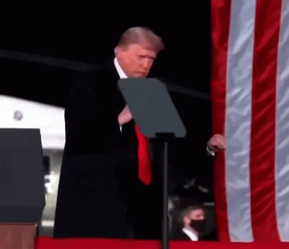 Sweet Donald Trump Dancing GIF