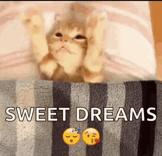 Sweet Dreams Cute Sleepy Cat GIF