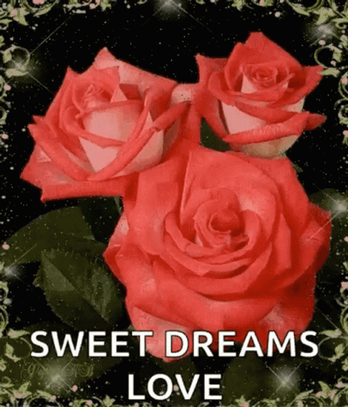 Sweet Dreams My Love Blooming Garden Roses GIF