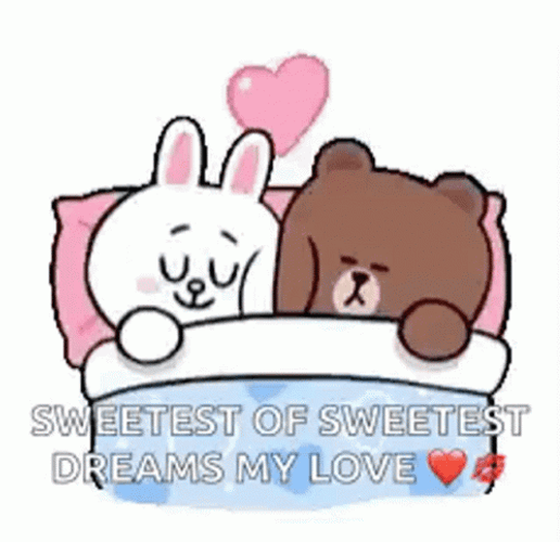 Sweet Dreams My Love Cony And Brown Sticker GIF