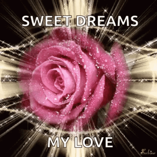 Sweet Dreams My Love Dazzling Pink Rose GIF
