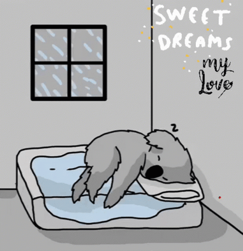 Sweet Dreams My Love Sleeping Koala Animation GIF