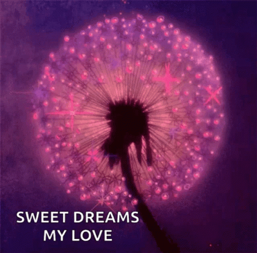 Sweet Dreams My Love Sparkling Dandelion Flower GIF
