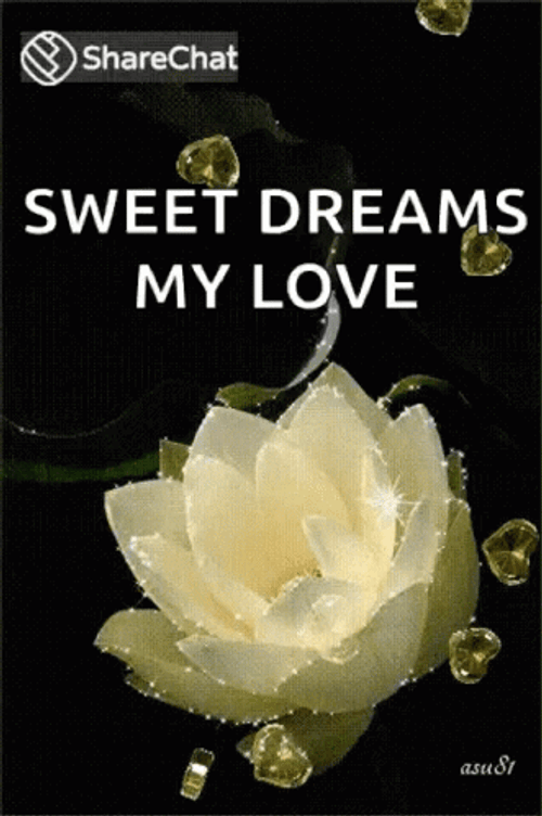 Sweet Dreams My Love Water Lilies Flower Hearts GIF