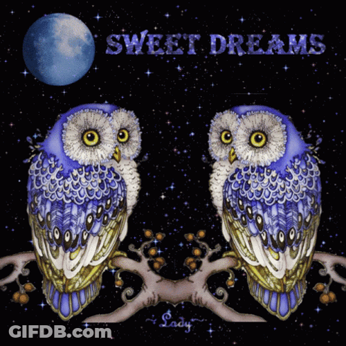 Sweet Dreams Owl Animated Stars Sparkle GIF