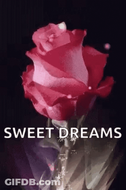 Sweet Dreams Pink Rose GIF