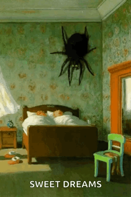 Sweet Dreams Scary Spider On The Wall GIF