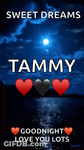 Sweet Dreams Tammy Goodnight Love You Lots GIF