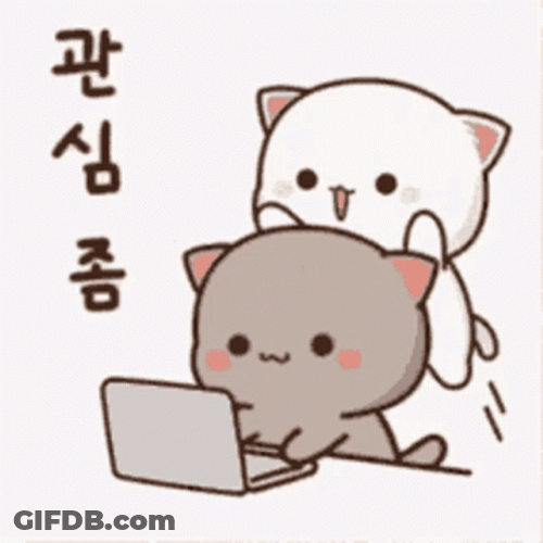 Sweet Goma Peach Use Laptop GIF