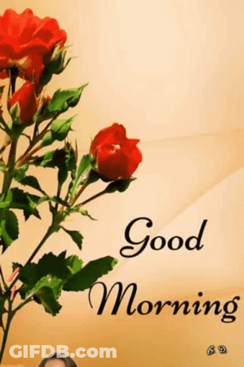 Sweet Good Morning Girl Floating GIF