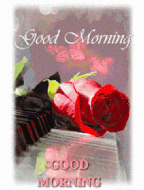 Sweet Good Morning Girl Kiss GIF