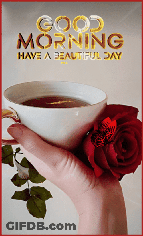 Sweet Good Morning Have A Beautiful Day GIF