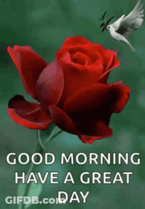 Sweet Good Morning Have A Great Day GIF