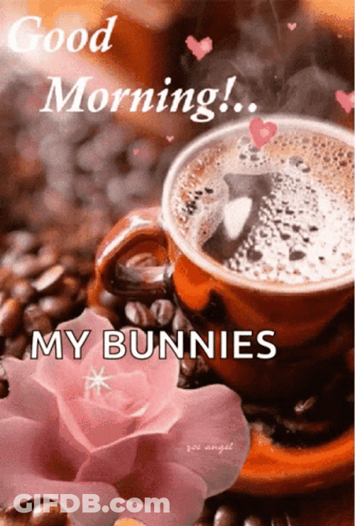 Sweet Good Morning My Bunnies GIF