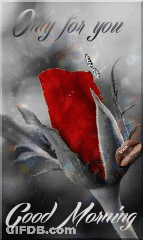Sweet Good Morning Only For You GIF