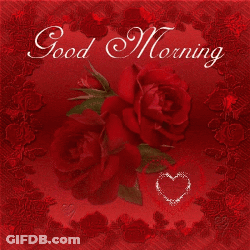 Sweet Good Morning Red Rose GIF