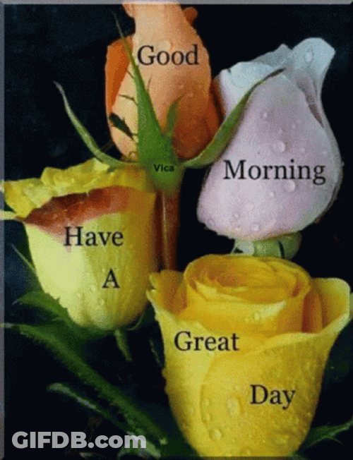 Sweet Good Morning Rose Flowers GIF