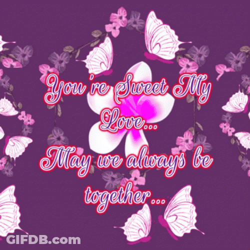 Sweet Love Butterflies Romantic Text GIF
