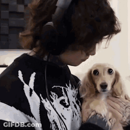 Sweet Tim Henson Pet's Forehead Kiss GIF