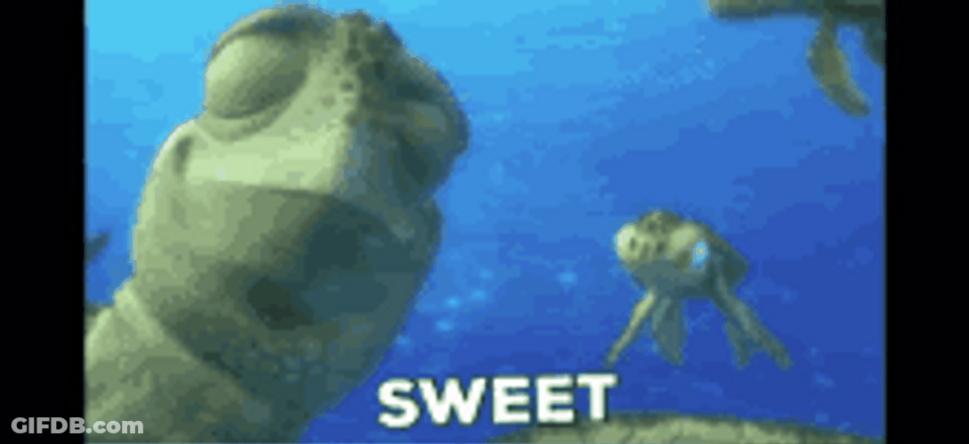 Sweet Turtles Finding Nemo GIF