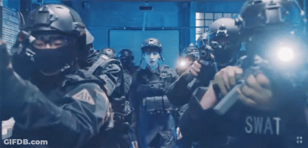 Swift Swat Response GIF