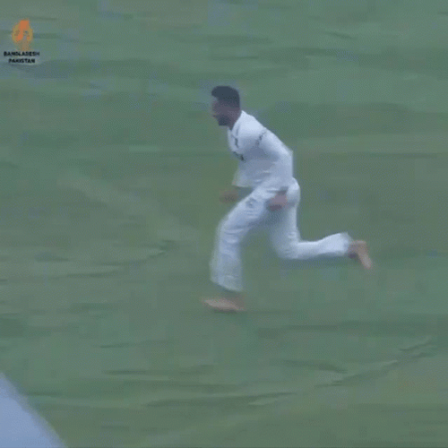 Swimming Crickets Meme Game GIF