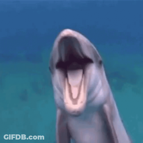 Swimming Dolphin With Open Mouth And Nose Bubble GIF