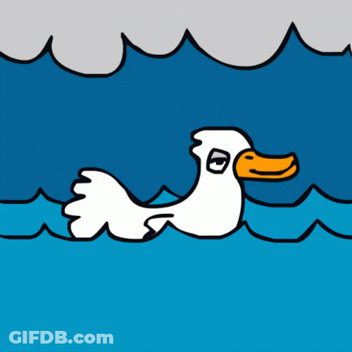 Swimming Duck Spinning GIF