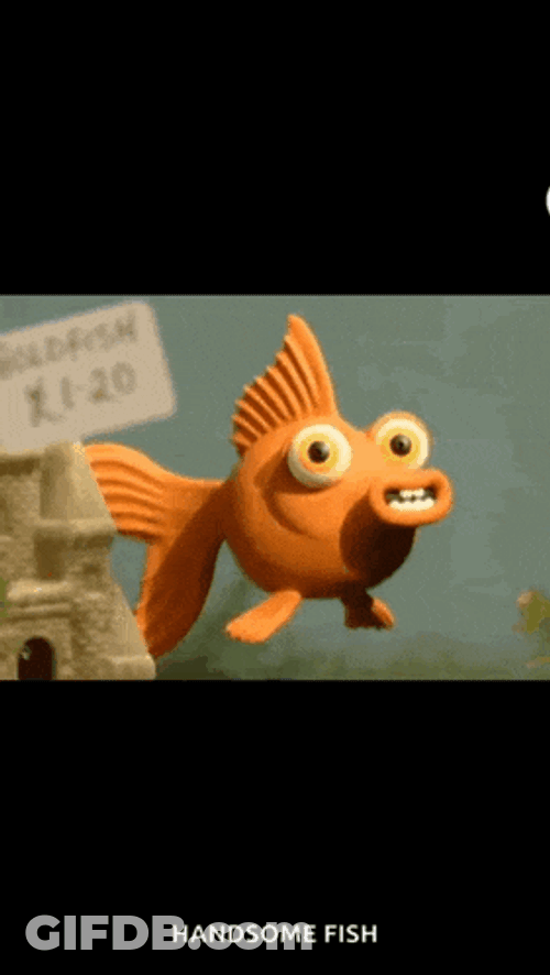 Swimming Fish GIF