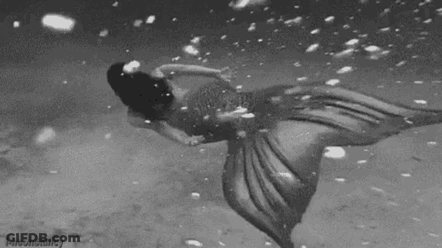 Swimming GIF