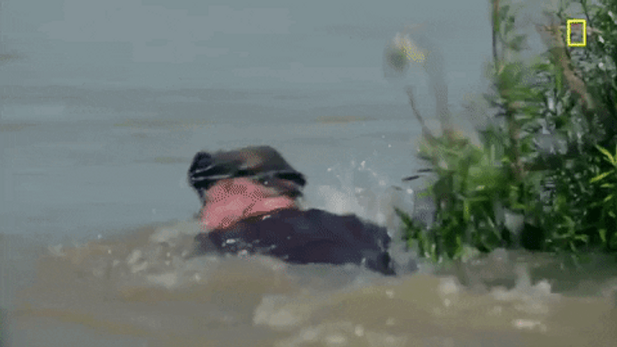 Swimming In Laos GIF