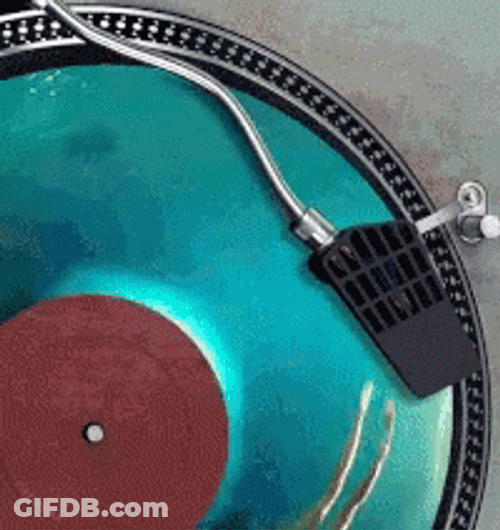 Swimming On Vinyl Broken Record GIF