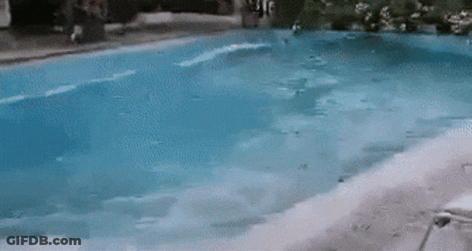 Swimming Pool Got Swayed By Earthquake GIF