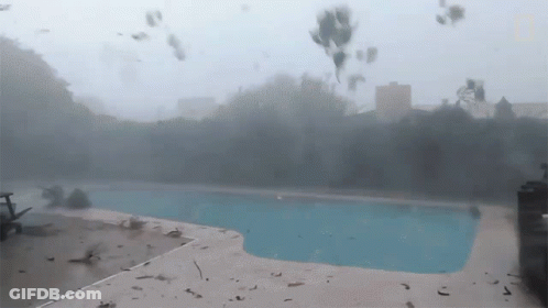 Swimming Pool Surrounded By Thick Fog GIF