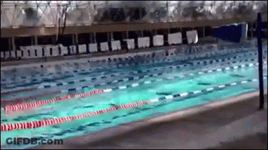 Swimming Pool With Red And White Lane GIF