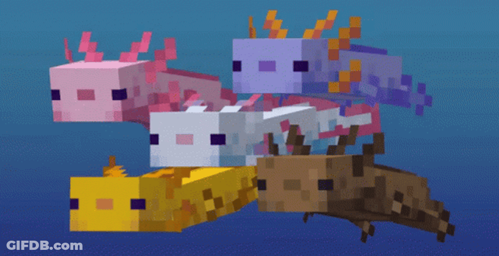 Swimming Together Axolotl Meme GIF