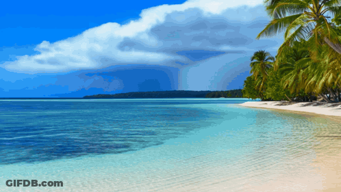 Swing Hanging From Tree Branch Over Water GIF