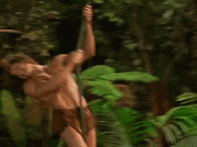 Swinging George Of The Jungle GIF