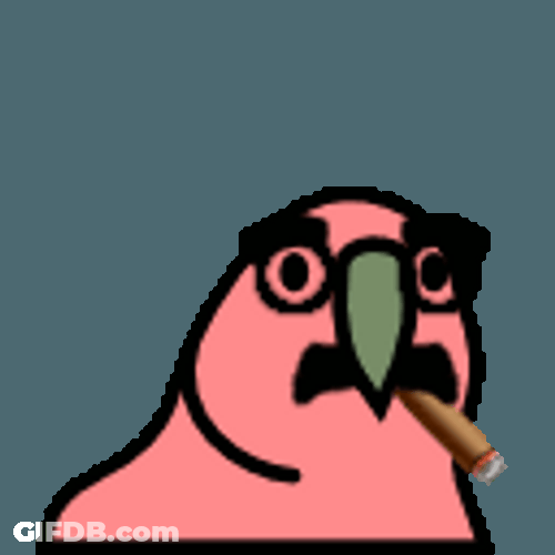Swinging Its Head Party Parrot Take A Lit GIF