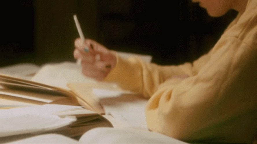 Swiper No Swiping Swipe Off The Books GIF