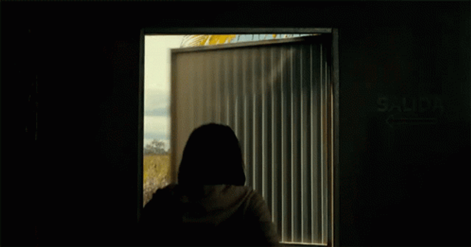 Swiper No Swiping Upside Down GIF