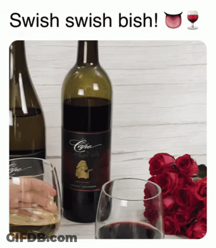 Swish Swish Bish Wine Bottle Next To Glass GIF