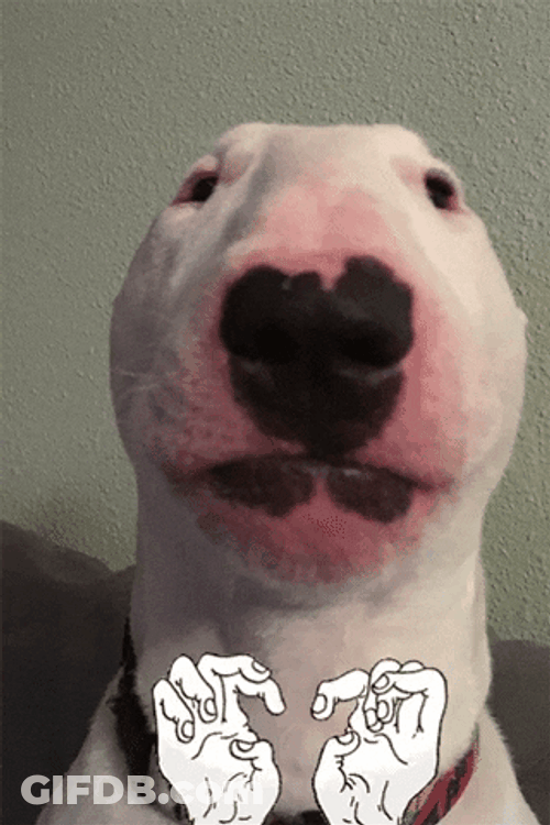 Swollen Dog Meme Fingers Moving GIF
