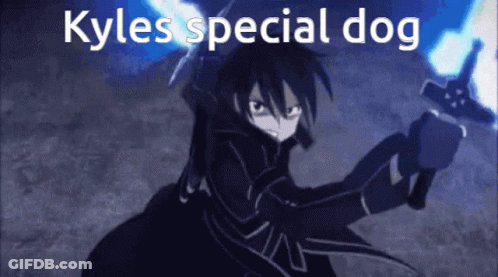 Sword Art Online Character Holding Sword Kyles Special Dog GIF