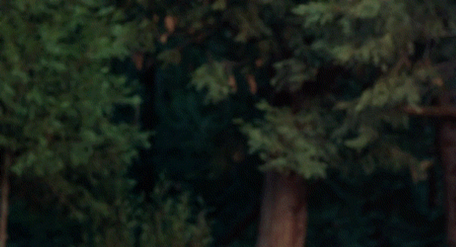 Sword Fight Fencing Battle GIF