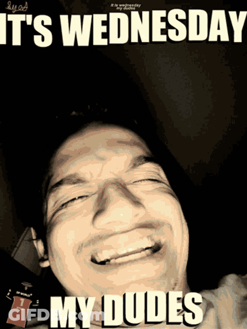 Syeds Wednesday GIF